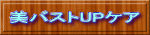 美バストUPケア 
